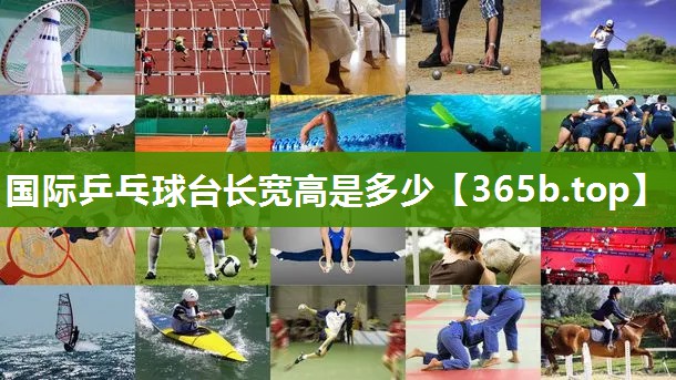 国际乒乓球台长宽高是多少